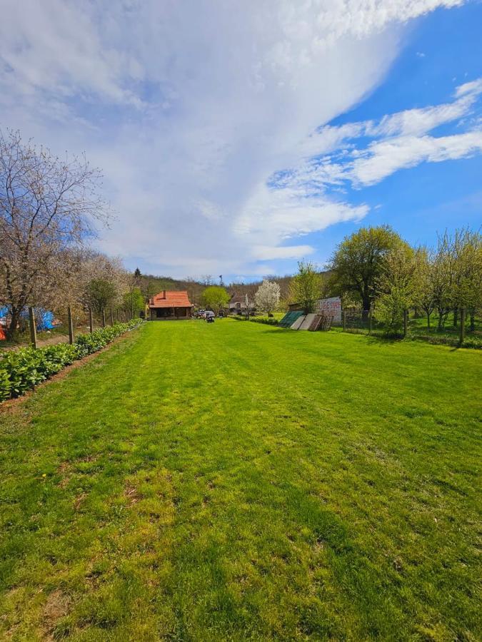 Holiday home Fruska House *